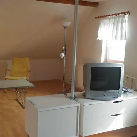 U Vaclava Guest house Janov
